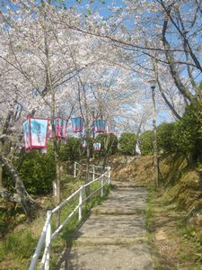 正福寺山公園写真