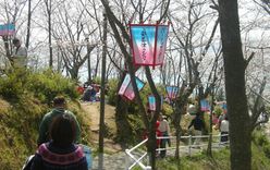 正福寺山公園写真