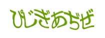 Authentication image